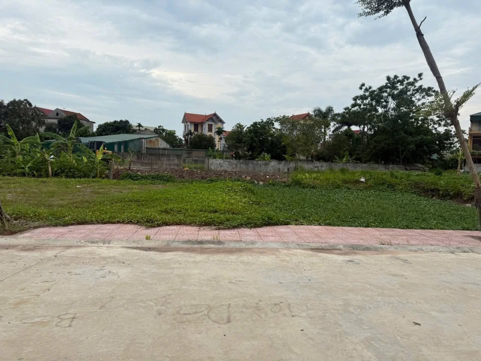 Lô đất đấu giá Nam Triều 143m² giá 4.29 tỷ - Tiềm năng phát triển vượt trội!