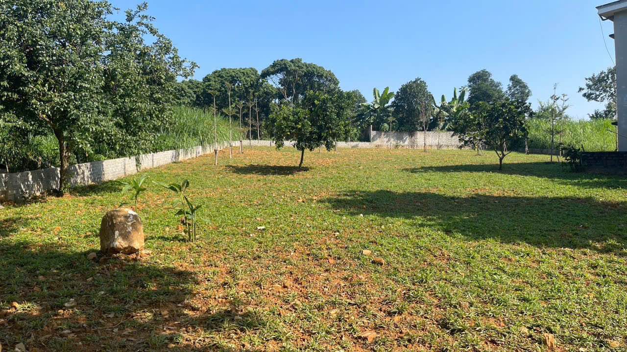 Đất nghỉ dưỡng Yên Bài Ba Vì 1700m² giá chỉ 2.465 tỷ - Đầu tư sinh lời ngay!