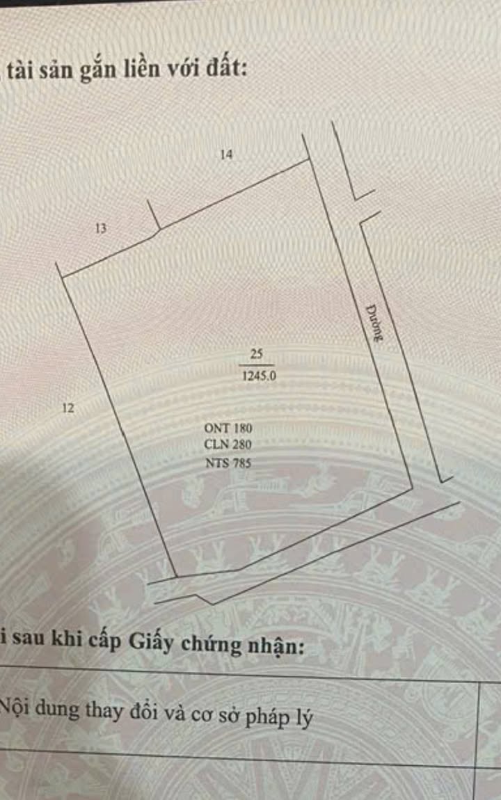 Đất nền Yên Nhân - Ý Yên 1245m² giá 3,6 triệu/m² - Đầu tư sinh lời ngay!