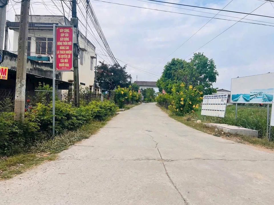 Đất thổ cư mặt tiền Lê Minh Xuân 160m² giá 1.05 tỷ - Cơ hội đầu tư hấp dẫn!