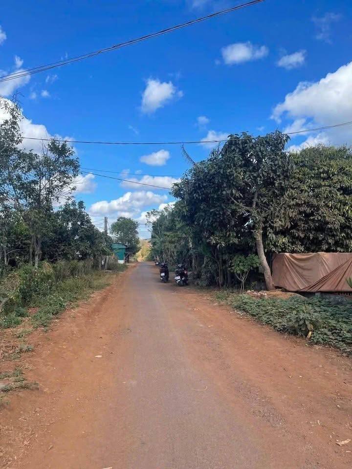 Đất thổ cư 125m² xã Ea Drăng giá chỉ 279 triệu - Cơ hội vàng cho đầu tư!