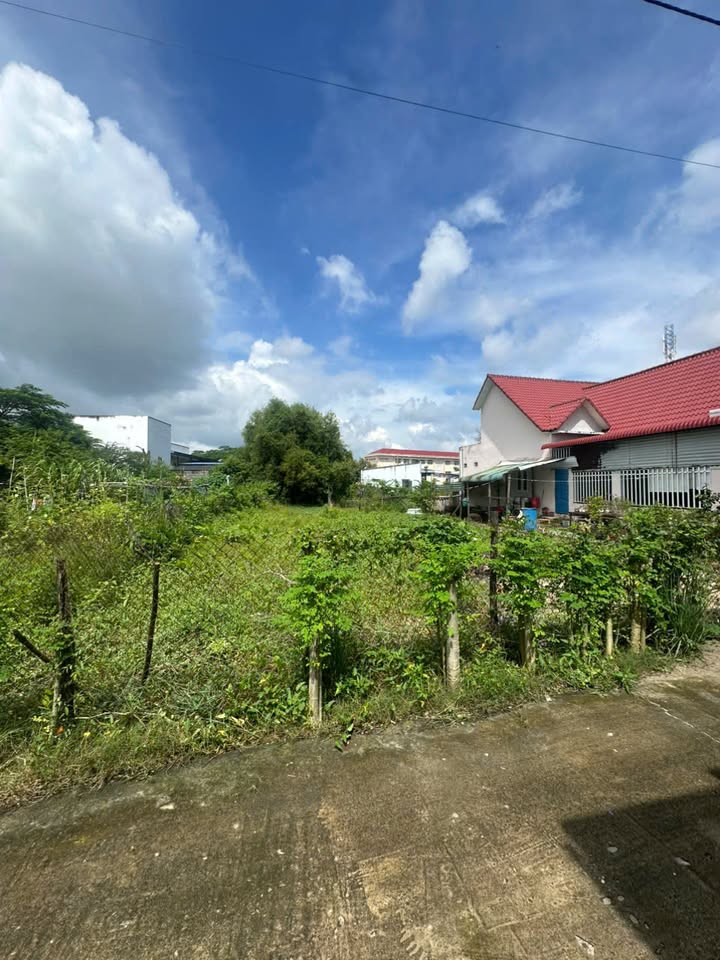 Đất chính chủ Tân Phước La Gi 321m² giá 38.52 tỷ - Mặt tiền đường lớn, thuận tiện di chuyển!