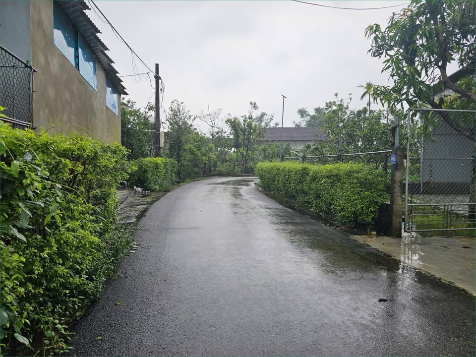 Đất thổ cư thôn Đông Nam, xã Thạch Bình, tỉnh Hà Tĩnh 184,9m² giá chỉ 1 tỷ - Cơ hội đầu tư tuyệt vời!