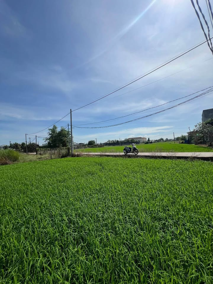 Đất nền 2000m² tại Ấp Kế Mỹ, Long An giá 3.15 tỷ - Mặt tiền đường thuận lợi!