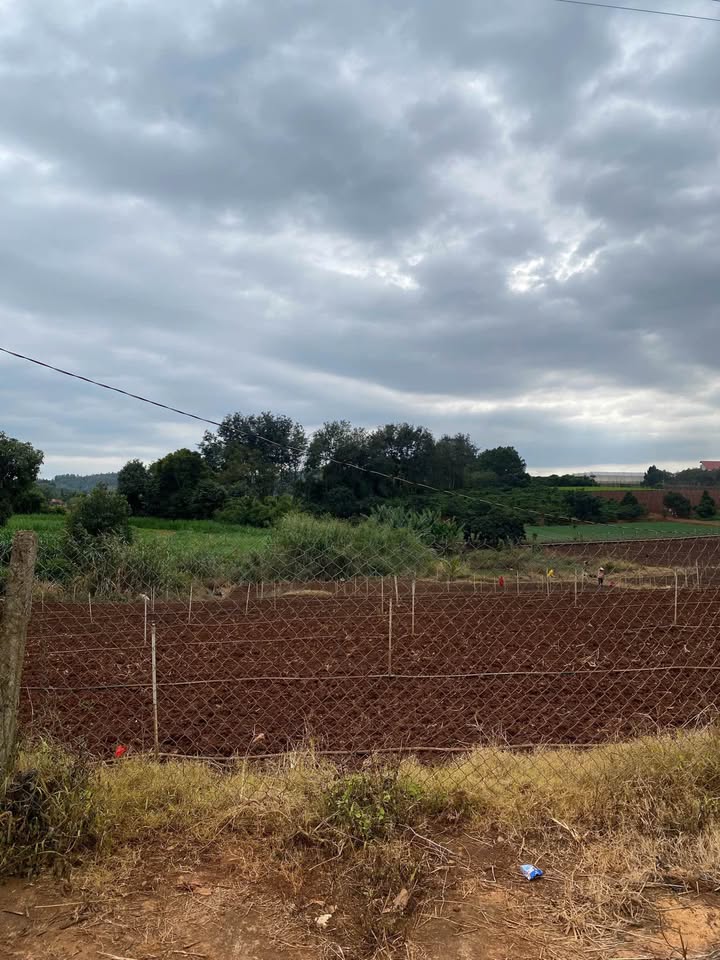 Đất nhựa Bồng Lai Hiệp Thạnh 280m² giá 2.2 tỷ - Đầu tư lý tưởng!