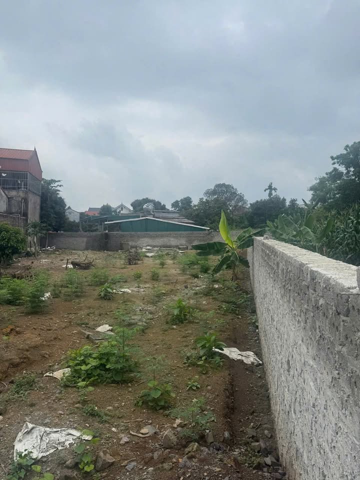 Đất thổ cư 600m² tại Cao Dương, Lương Sơn, Hoà Bình - Giá chỉ 5 tỷ, vị trí đầu tư lý tưởng!