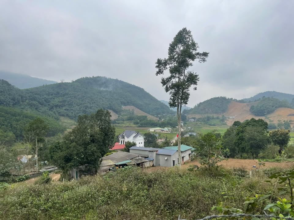 Đất nền Cao Dương Lương Sơn 3056m² giá 3.056 tỷ - Đầu tư sinh lời ngay!