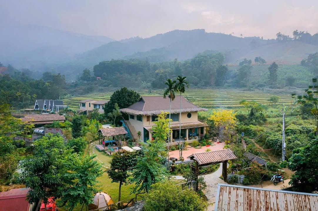 Farm 3000m² tại Xóm Trại Hoà, Lương Sơn, Hòa Bình - Cơ hội kinh doanh tuyệt vời!