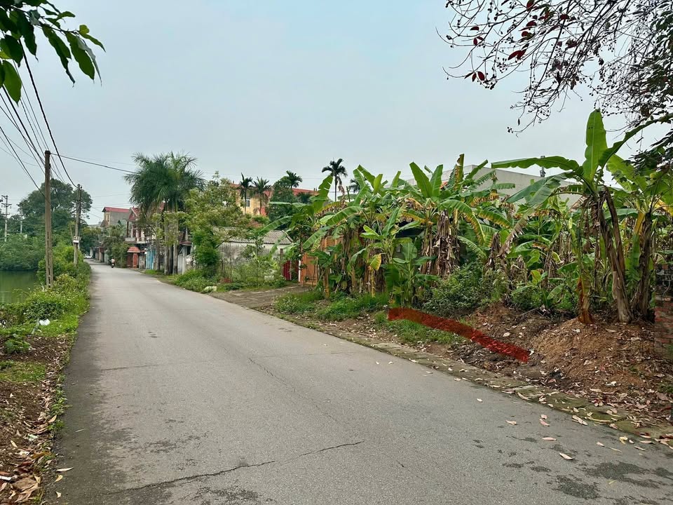 Đất nền đường Nguyễn Văn Ty, Tân Yên 105m² giá 2 tỷ - Vị trí kinh doanh đắc địa!