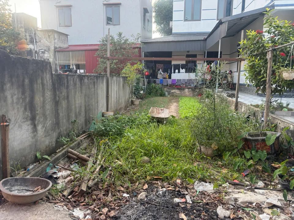 Đất nền Tam Hưng Thanh Oai 56m² - Ô tô đỗ tận đất, giá thỏa thuận!