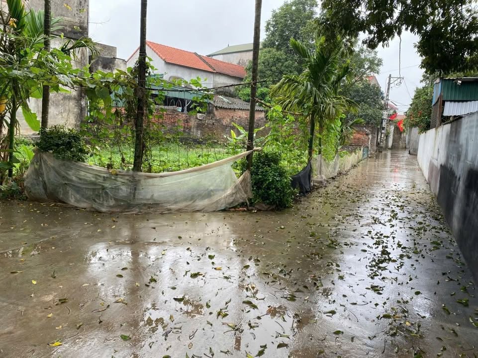 Bán đất Tân Ước, Thanh Oai 45m² giá 3 tỷ - Chủ thiện chí!