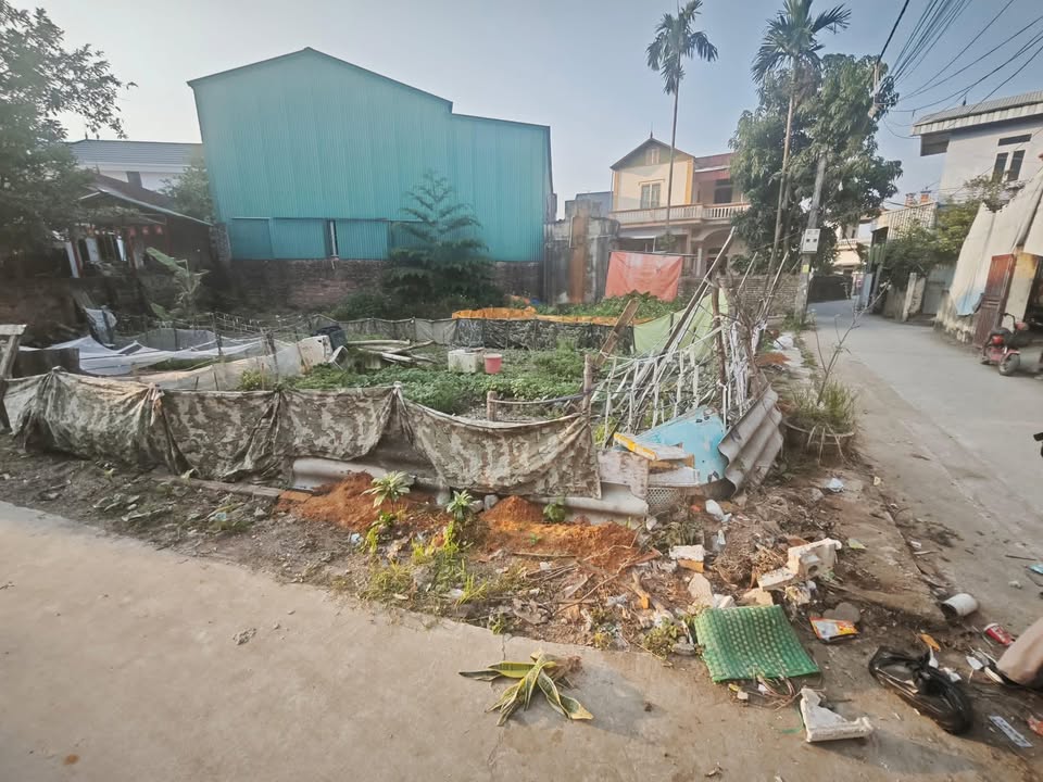 Đất nền Cao Viên Thanh Oai 41m² giá 2.1 tỷ - Cơ hội đầu tư hấp dẫn!