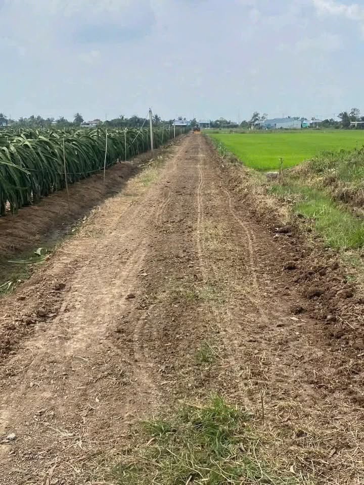 Đất nền Kiểng Phước, Gò Công Đông 100m² giá chỉ 200 triệu - Đầu tư sinh lời ngay!