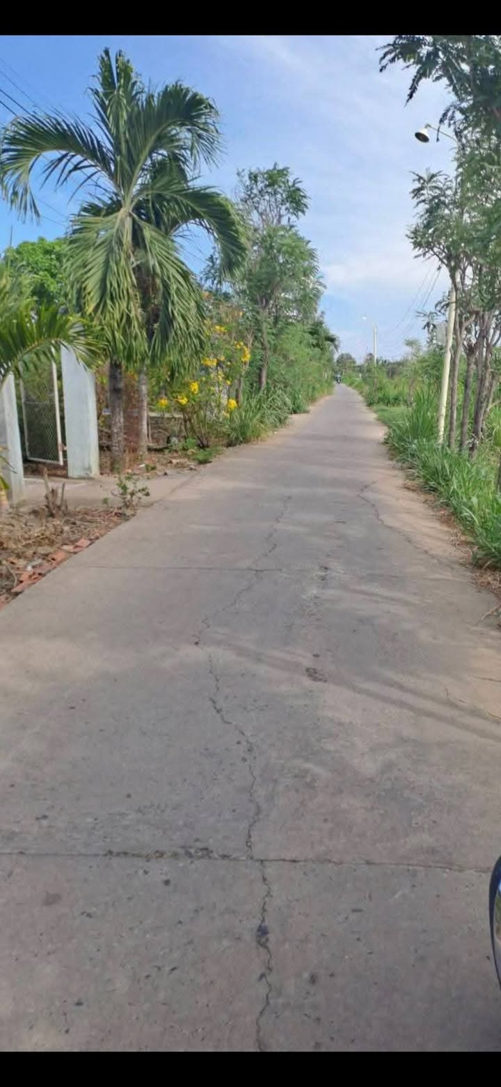 Đất nền Tân Đông Gò Công Đông 225m² giá 460 triệu - Sổ riêng sang tay ngay!