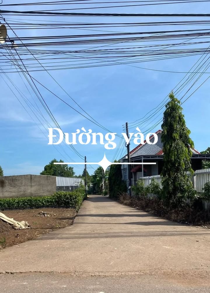 Đất nền 100m² tại Ấp 1, Sông Trầu, Trảng Bom - Sổ riêng, thổ cư 100%!