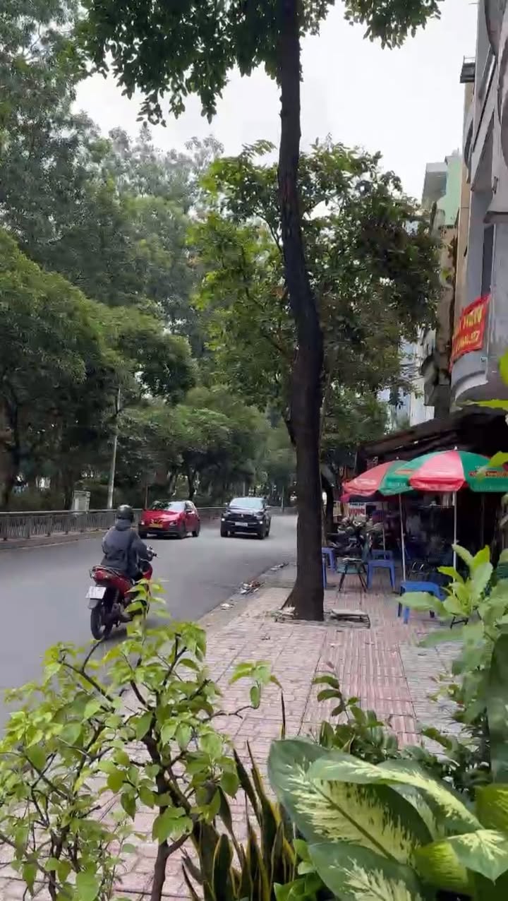 Nhà mặt tiền đường Lê Tuấn Mậu, Quận 6, 104m² giá 17 tỷ - Đối diện công viên Phú Lâm!