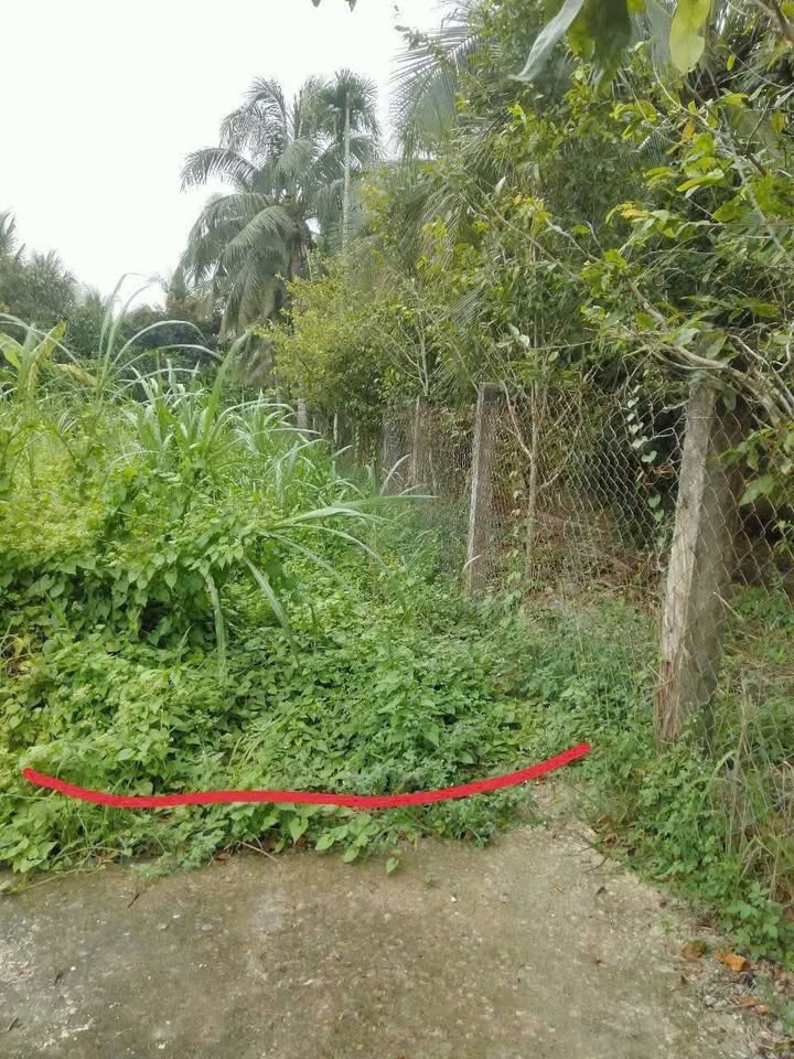 Đất nền Phú Tân 85m² giá chỉ 250 triệu - Cơ hội đầu tư tuyệt vời!