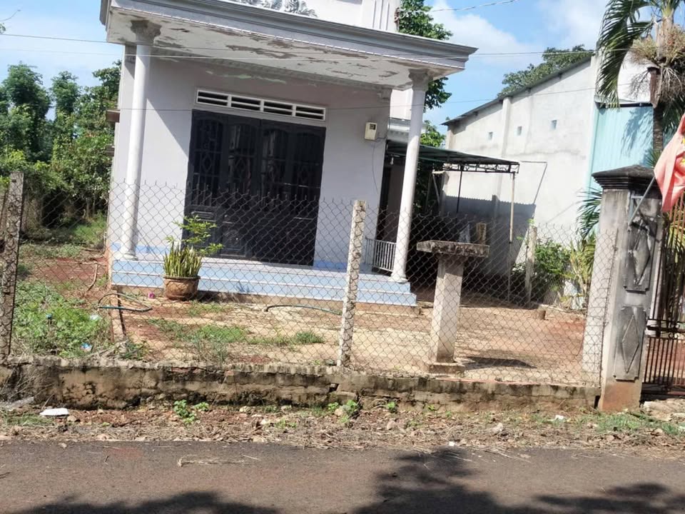 Nhà cấp 4 Hòa Hội Xuyên Mộc 440m² giá 1.65 tỷ - Mặt tiền đường nhựa