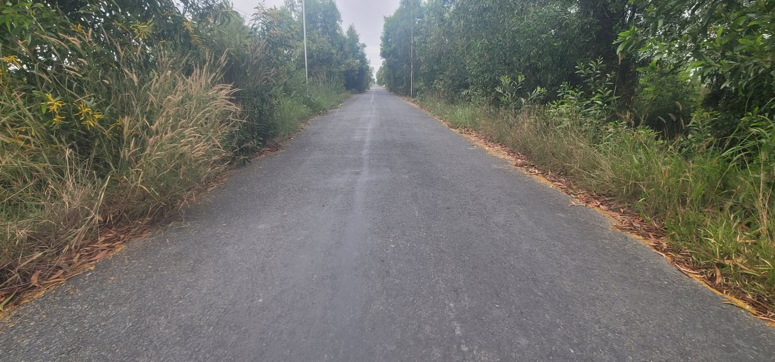 Đất mặt tiền nhựa 16 công Hưng Thạnh, Tân Phước, Tiền Giang - Giá chỉ 4.16 tỷ!