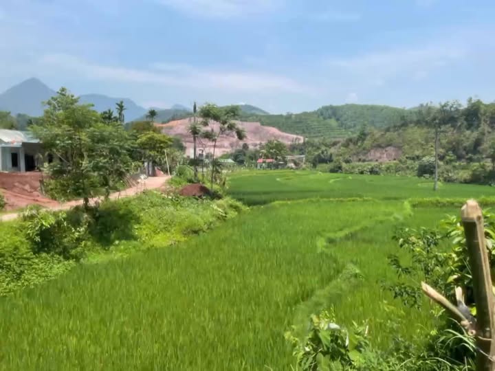 Đất nền Mường Bi, Tân Sơn, Phú Thọ 141m² giá 260 triệu - Sổ đỏ chính chủ, tiện ích xung quanh