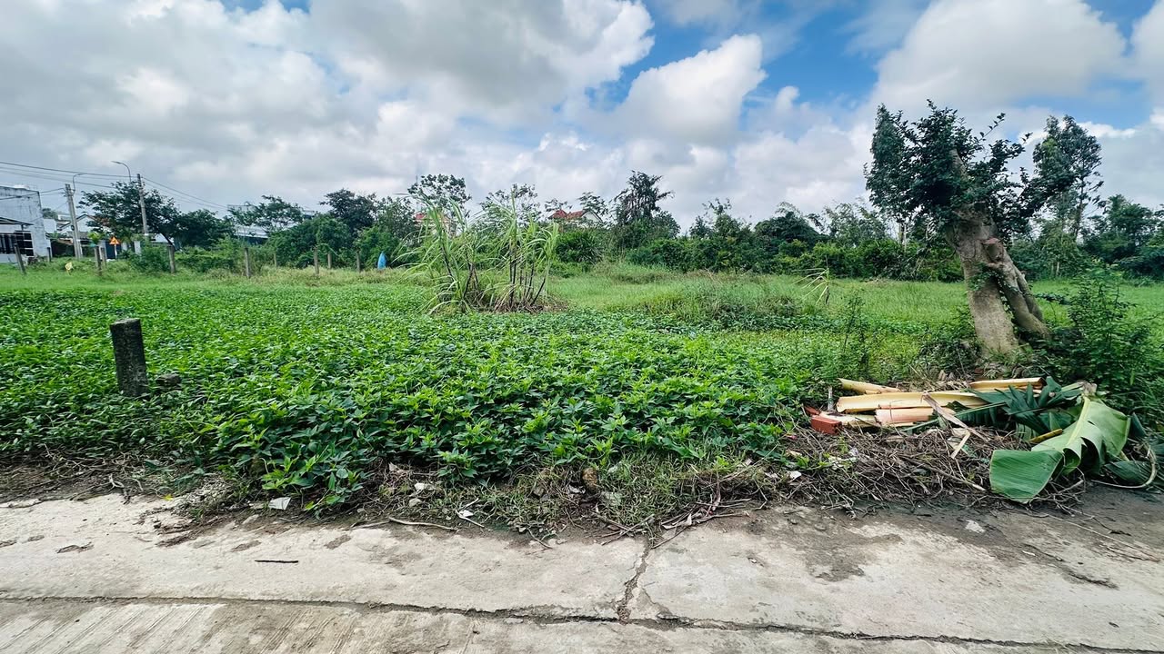 Đất nền Hòa Tân Đông 156m² giá 900 triệu - Đường thông thoáng, vị trí thuận lợi!