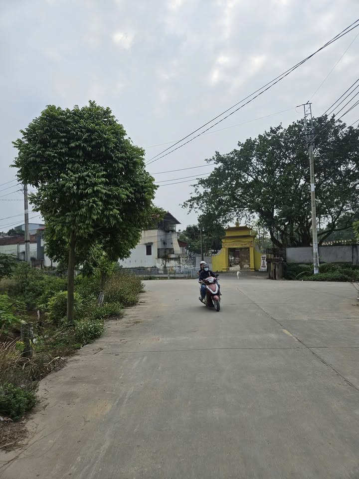 Đất mặt tiền đường chính Thanh Trì, 433m² giá chỉ 1.3 tỷ - Cơ hội đầu tư lý tưởng!