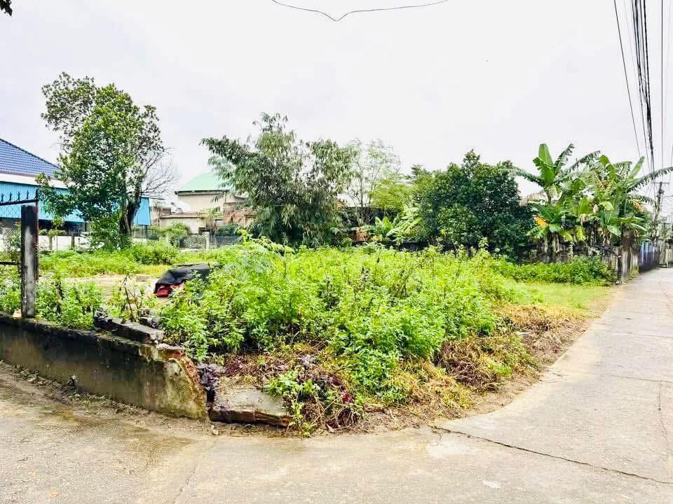 Đất nền chính chủ đường Nguyễn Thuật, TT Hà Lam 100m² giá chỉ 800 triệu - Bán gấp!