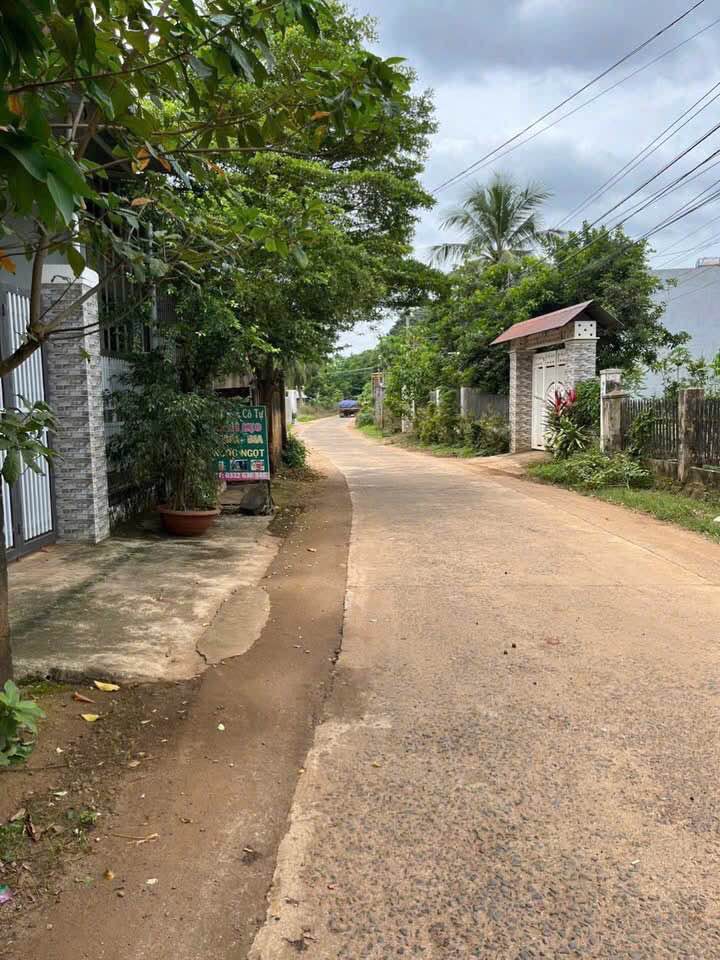 Bán đất phố Khánh Xuân, Buôn Ma Thuột 195m² giá 1.5 tỷ - Đầu tư sinh lời ngay!