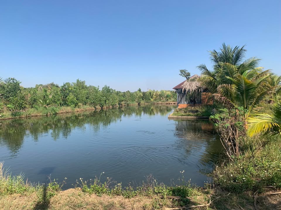 Nhà mặt tiền Hùng Vương, Tân Lập 240m² giá 12 tỷ - Đầu tư sinh lời hấp dẫn!