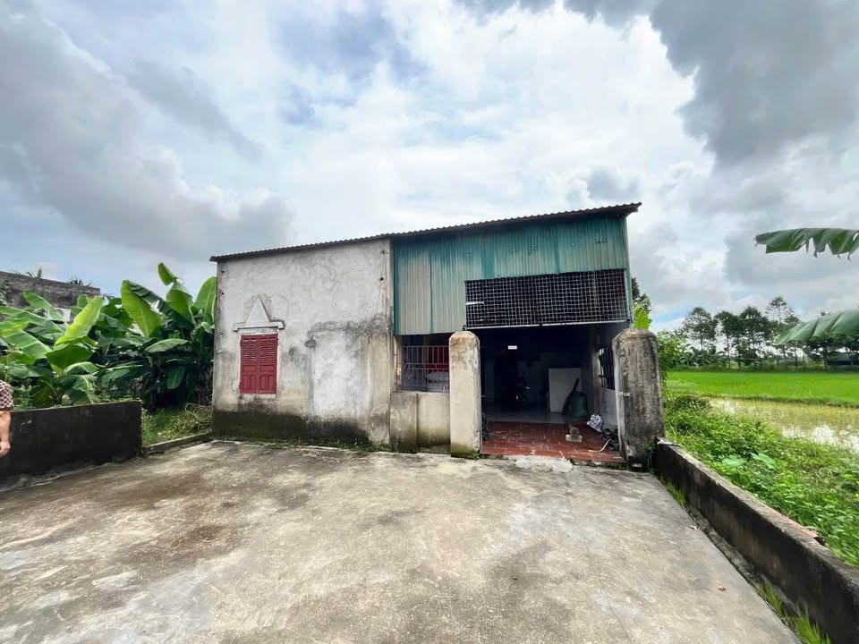 Đất nền Quảng Đông Thanh Hóa 250m² giá 1.15 tỷ - Cơ hội tuyệt vời cho nhà vườn