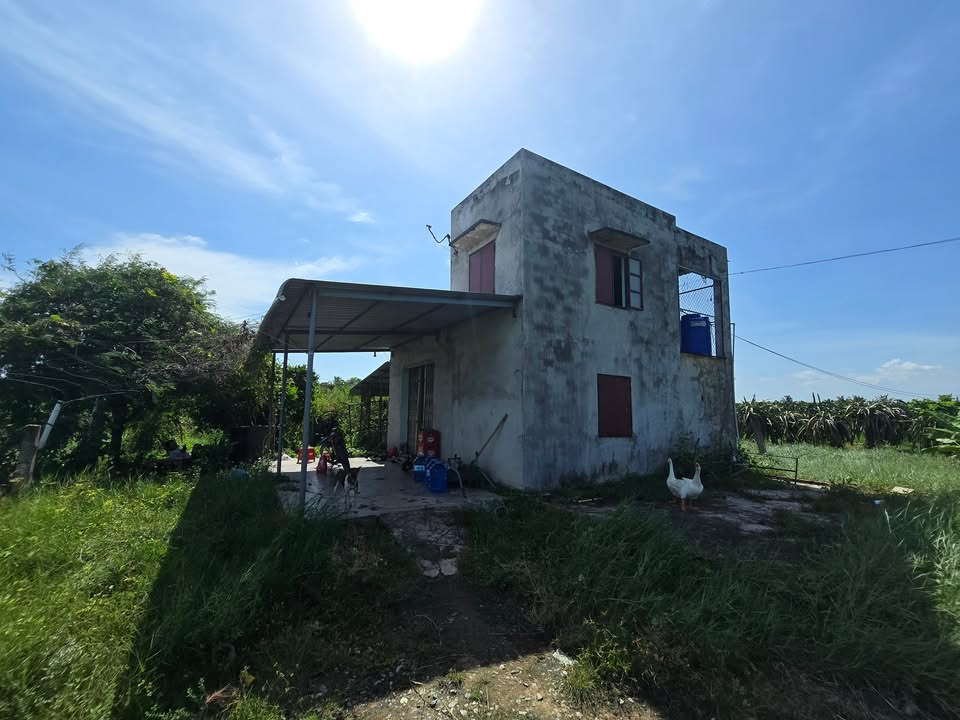 Đất nền Tân Thuận, Hàm Thuận Nam 11540m² giá 6.1 tỷ - Sổ hồng chính chủ, thương lượng!