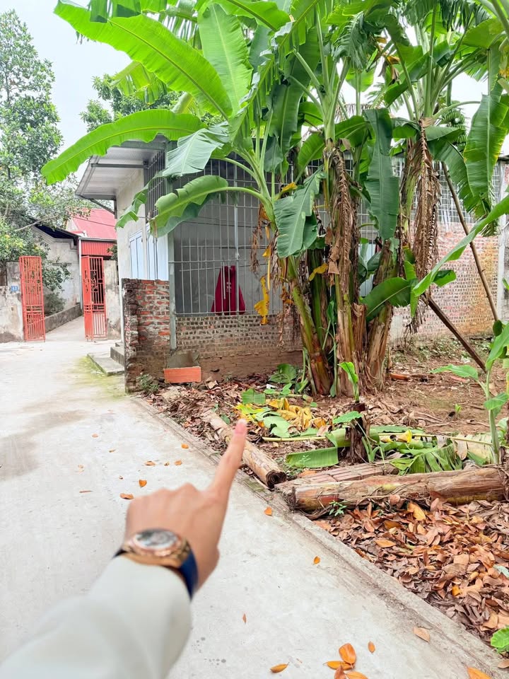 Đất Hát Môn, Phúc Thọ, 46m² giá 1 tỷ - Đầu tư sinh lời nhanh!