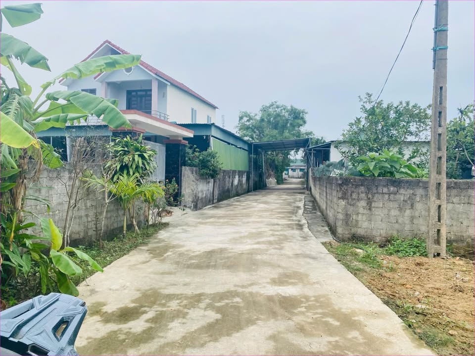 Đất thổ cư Thôn Văn Minh, Tân Lâm Hương, 129.2m² giá 1.05 tỷ - Cơ hội đầu tư hấp dẫn!