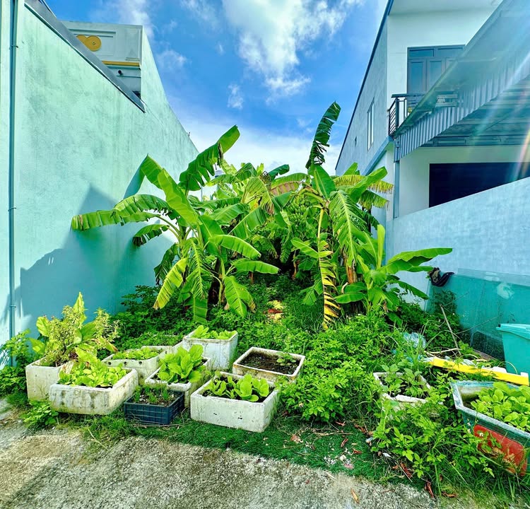 Lô đất Quảng Định 90m² giá 1.268 tỷ - Chính chủ bán gấp!