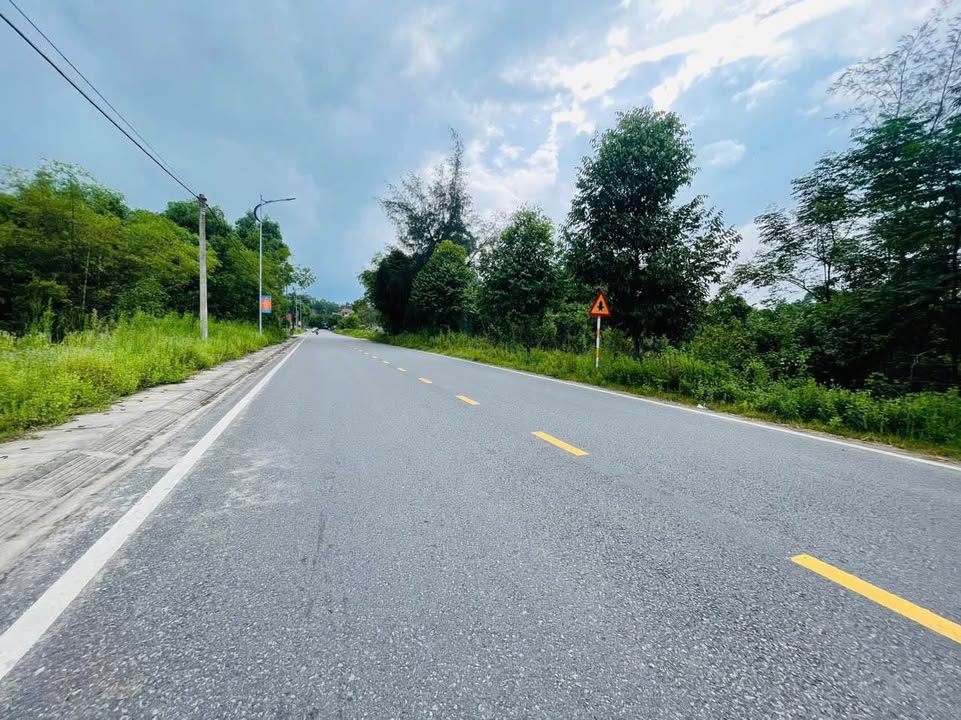 Đất nền kinh doanh mặt đường TL20, Thạch Sơn 143.5m² giá chỉ 1.7 tỷ - Cơ hội đầu tư tuyệt vời!