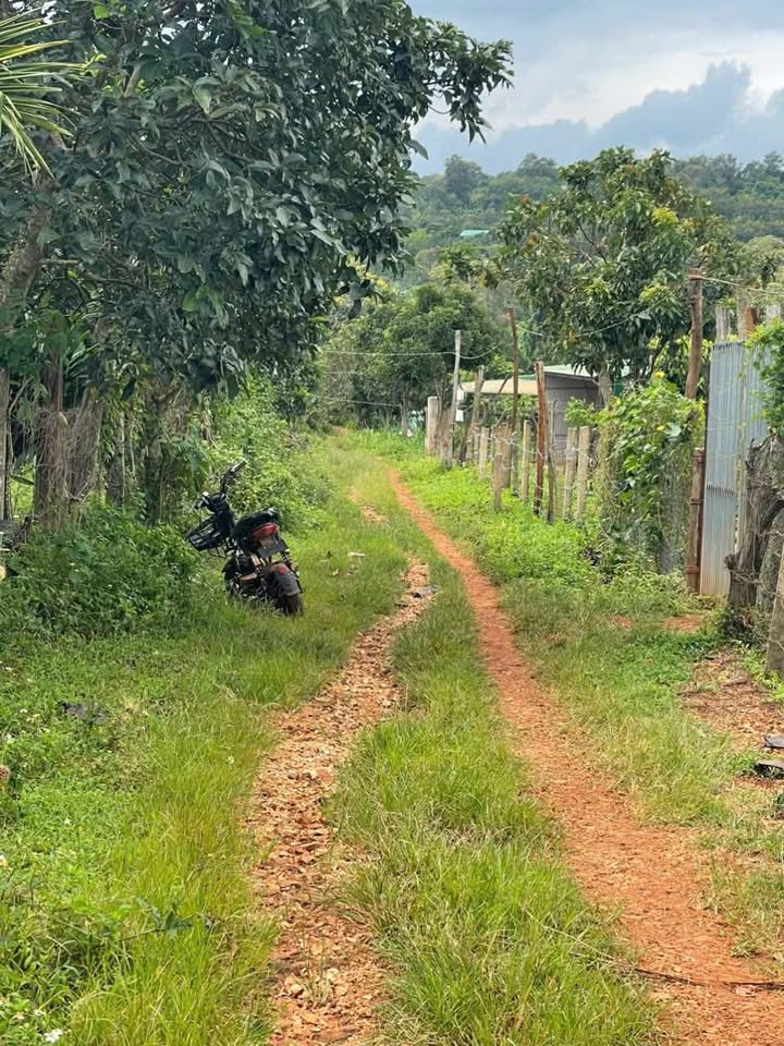 Đất thổ cư xã Ea Ral 150m² giá chỉ 299 triệu - Cơ hội đầu tư tuyệt vời!