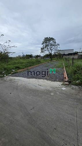 Đất thổ cư Tân Hiệp Hóc Môn 119m² giá chỉ 3.5 tỷ - Đường ô tô tận nơi!