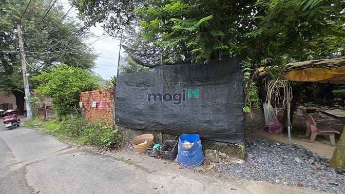 Bán đất Tân Hiệp Hóc Môn giá 3.6 tỷ – Sổ hồng riêng, thổ cư 145.5m²