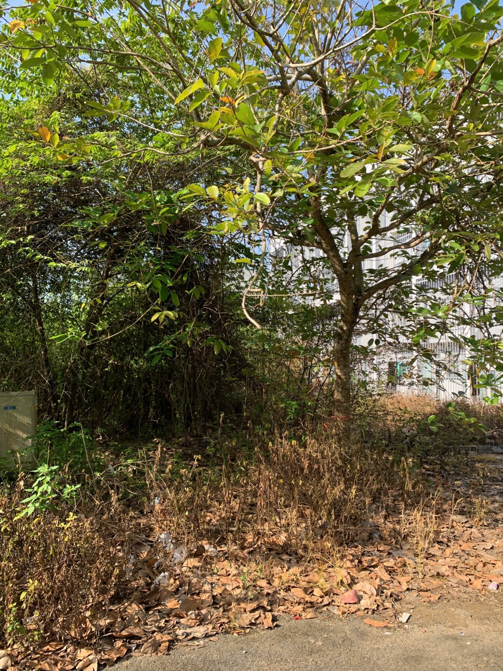 Đất nền 128m² đường 7B2 KDC Tân Phú, Cần Thơ - Giá chỉ 1.9 tỷ, thương lượng ngay!