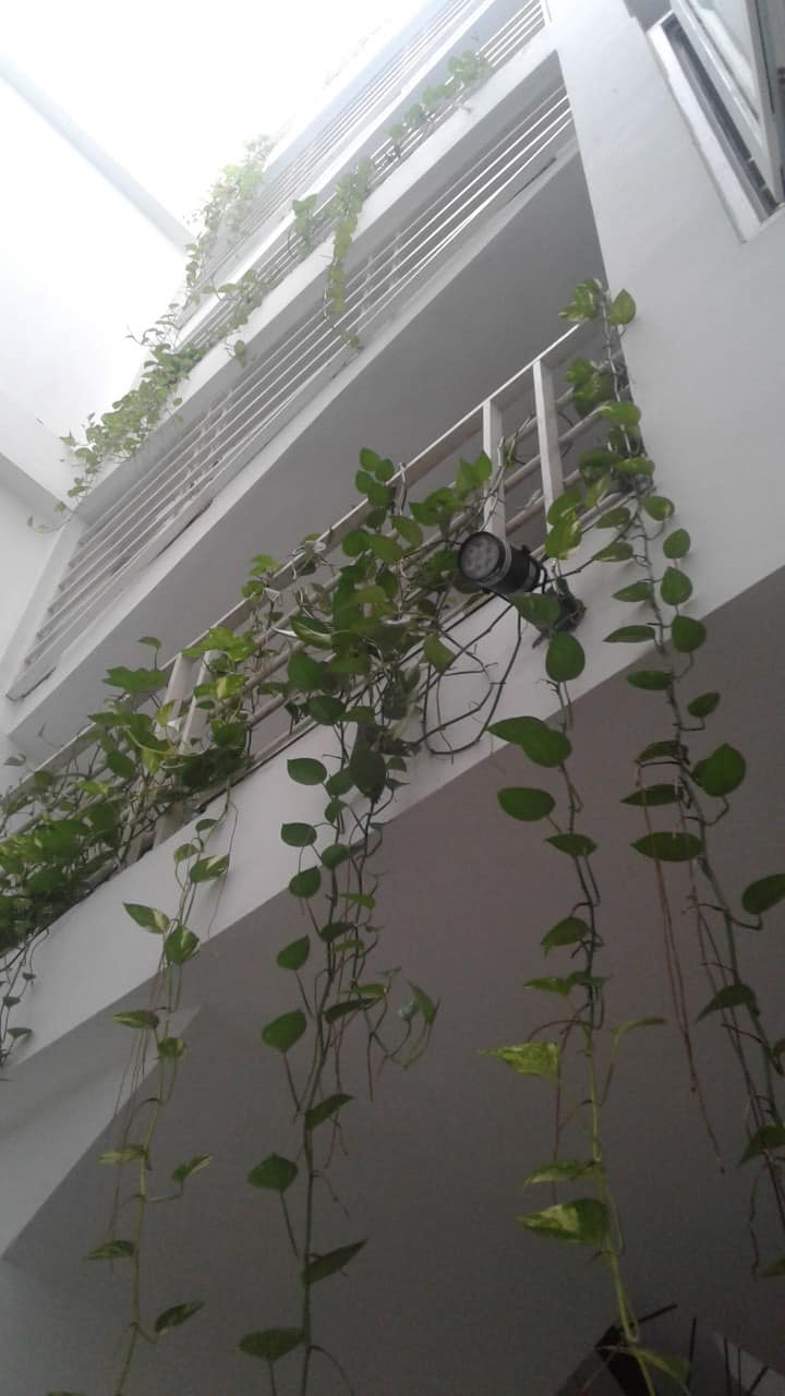 Bán nhà phố Hàng Bài, quận Hoàn Kiếm, 50m², giá 26 tỷ - Ngõ rộng, an ninh tốt!