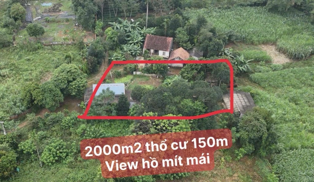 Bán lô đất 2000m² view hồ tuyệt đẹp tại Yên Bài, Ba Vì giá 10 tỷ - Đầu tư sinh lời cao!