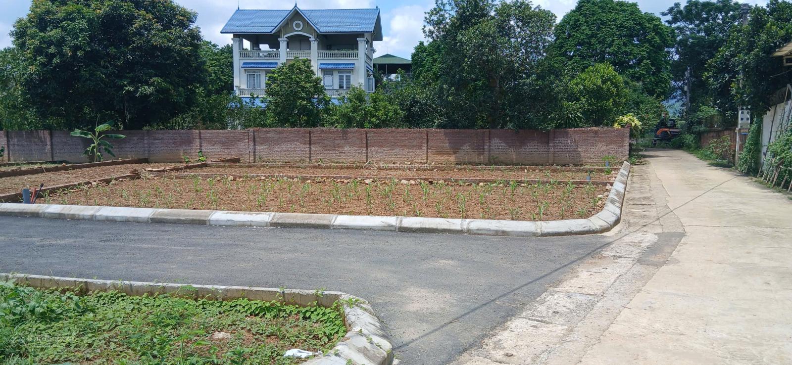 Lô đất Phú Cát 100m² giá 4.2 tỷ - Tiềm năng tăng giá rõ ràng!