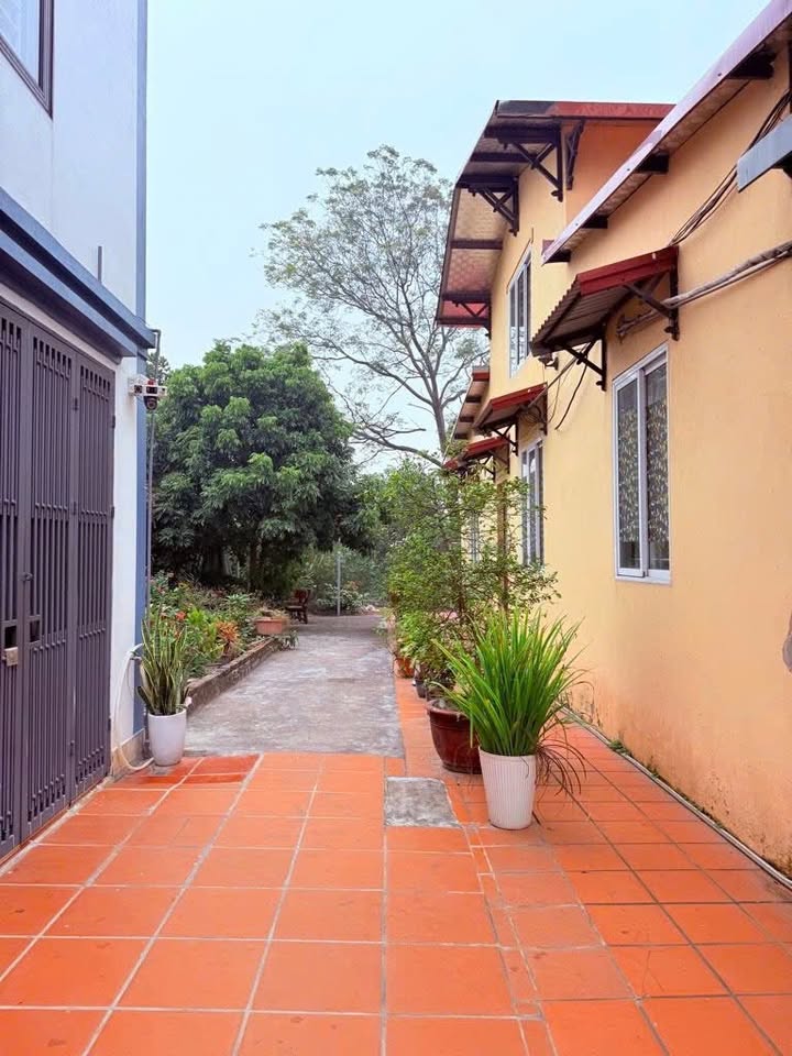 Đất Ngọc Thụy Long Biên 30m² giá 3,7 tỷ - Tiềm năng đầu tư sinh lời!