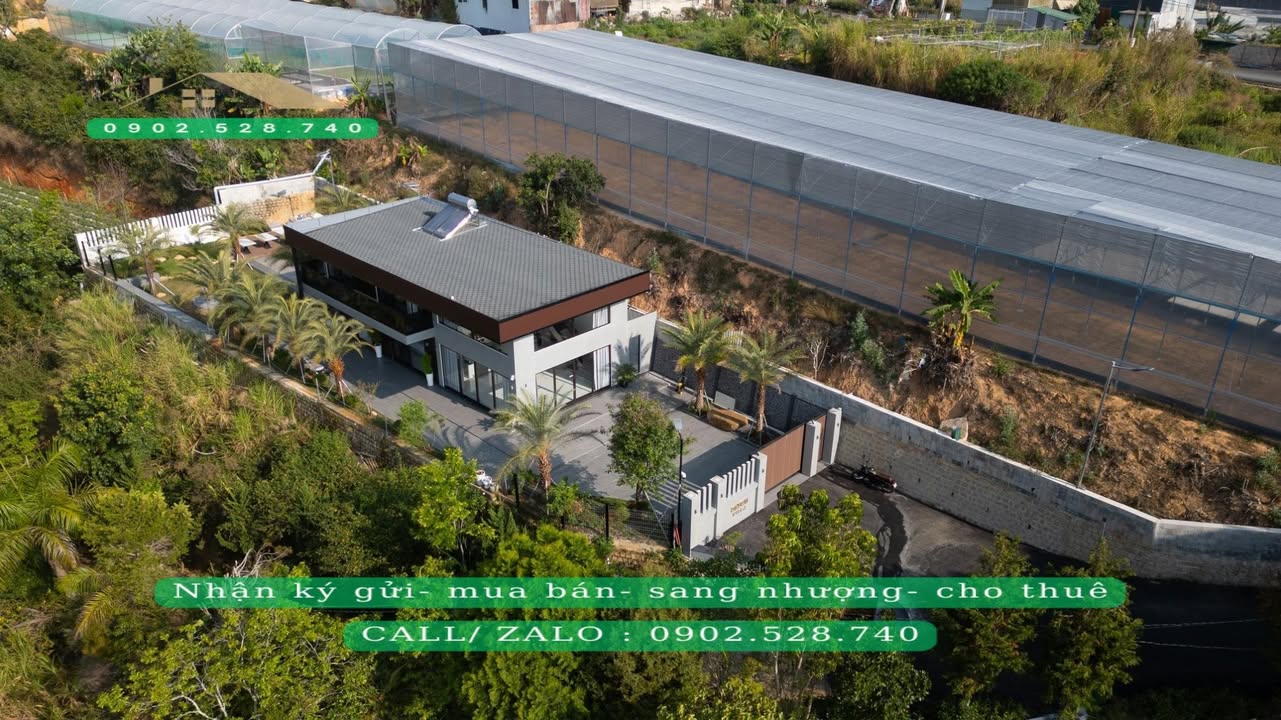 Biệt thự sân vườn Đà Lạt 1.125m² giá 13.5 tỷ - View rừng thông tuyệt đẹp!