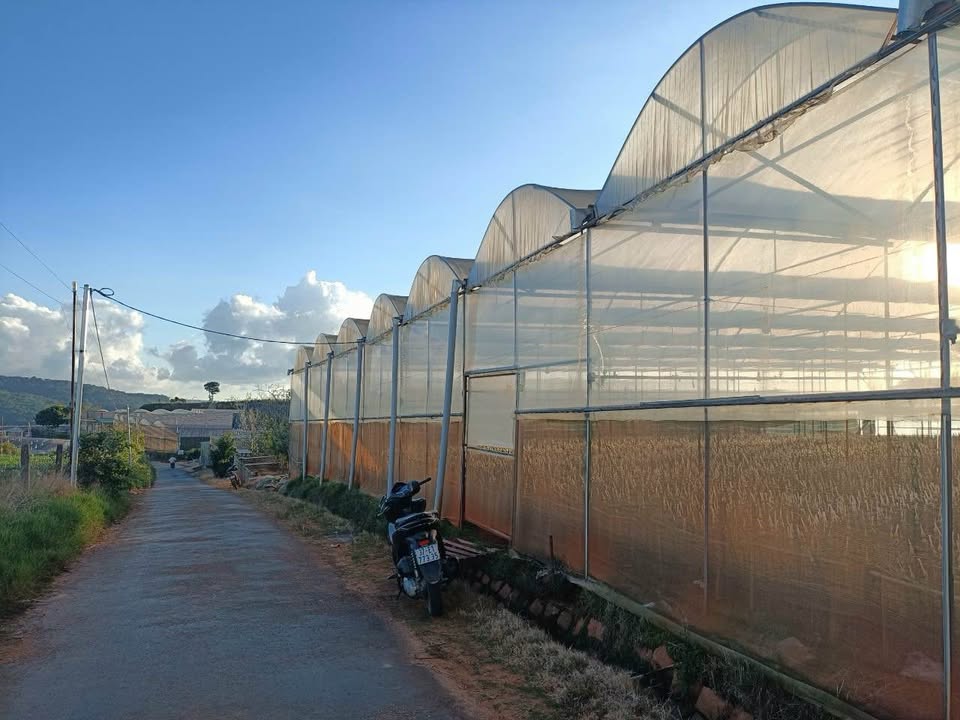 Đất mặt tiền nhựa thôn Đa Lộc, Xuân Thọ 500m² giá 2.8 tỷ - Đầu tư lý tưởng!