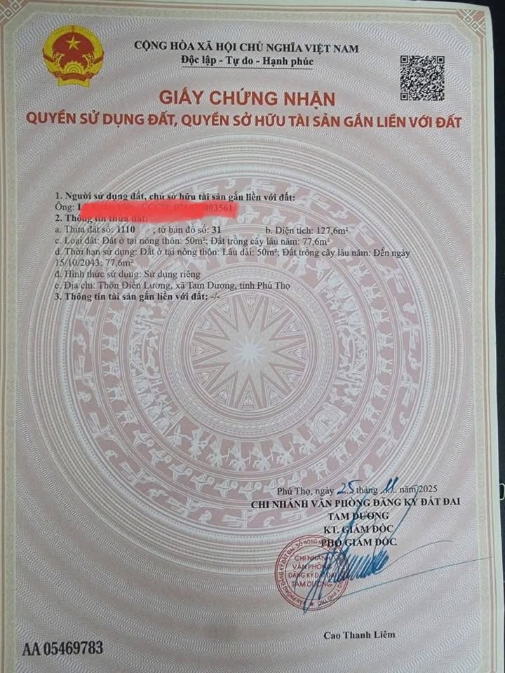 Đất nền TDP Điền Lương, Hợp Hòa Tam Dương 127,6m² - Đường ô tô vào tận đất!