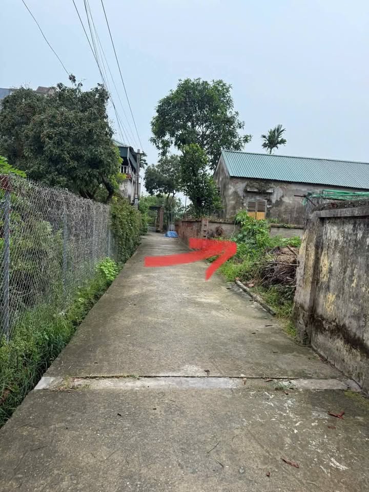 Đất nền Cẩm Xá Mỹ Hào 80m² giá chỉ 1.9 tỷ - Ô tô vào tận đất!