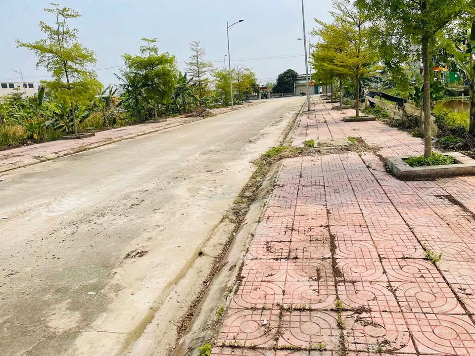 Đất phân lô Thượng Kiệm 100m² giá 12xx - Mặt tiền công viên, sổ đỏ chính chủ!