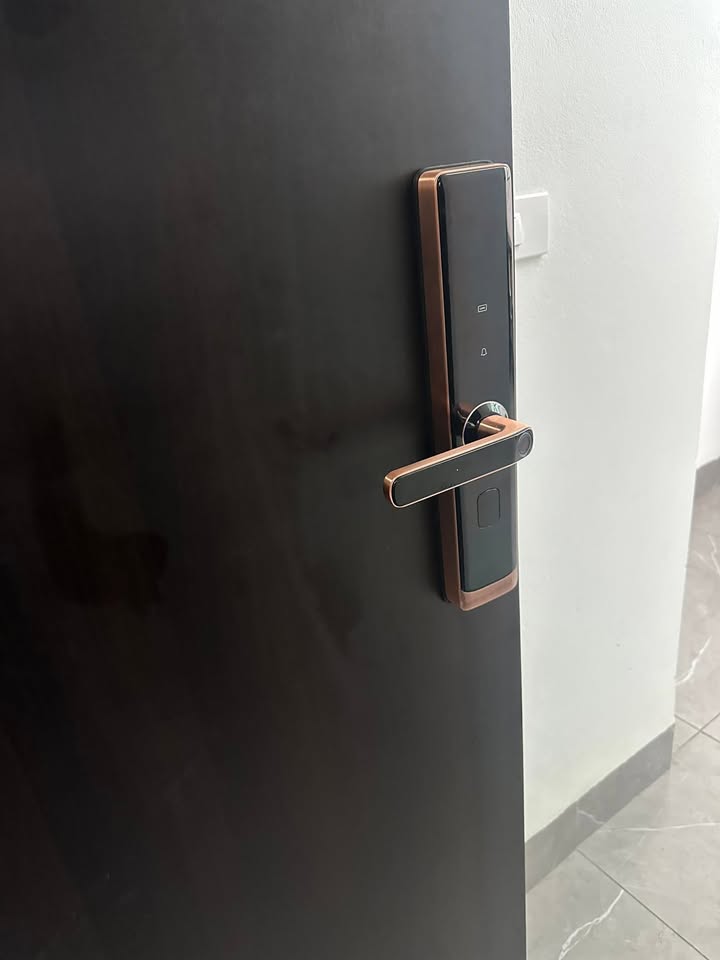 Căn hộ mini cho thuê đường Lê Nghĩa - Full nội thất, sạch sẽ, yên tĩnh!