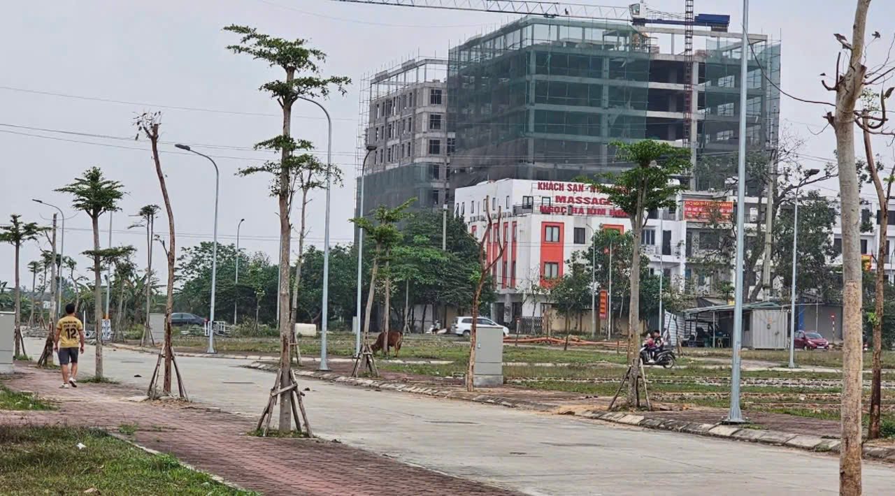 Đất nền Tiến Thắng Mê Linh 80m² giá thỏa thuận - Kinh doanh đắc địa ngay mặt tiền!